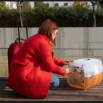 Como viajar com seu gato sem estresse