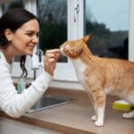 A escovação dos dentes de gatos é fundamental para a saúde felina
