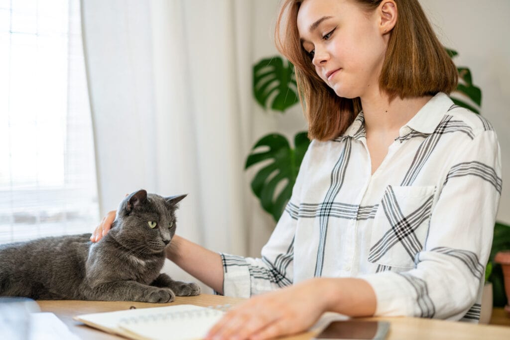 Como conviver com um gato asmático